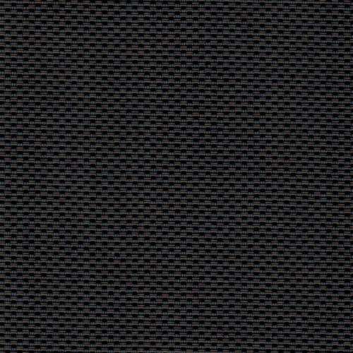 Ebony Bronze